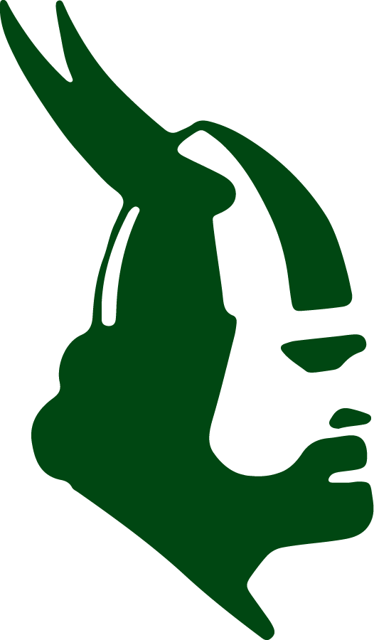 Portland State Vikings 1975-1979 Primary Logo diy iron on heat transfer